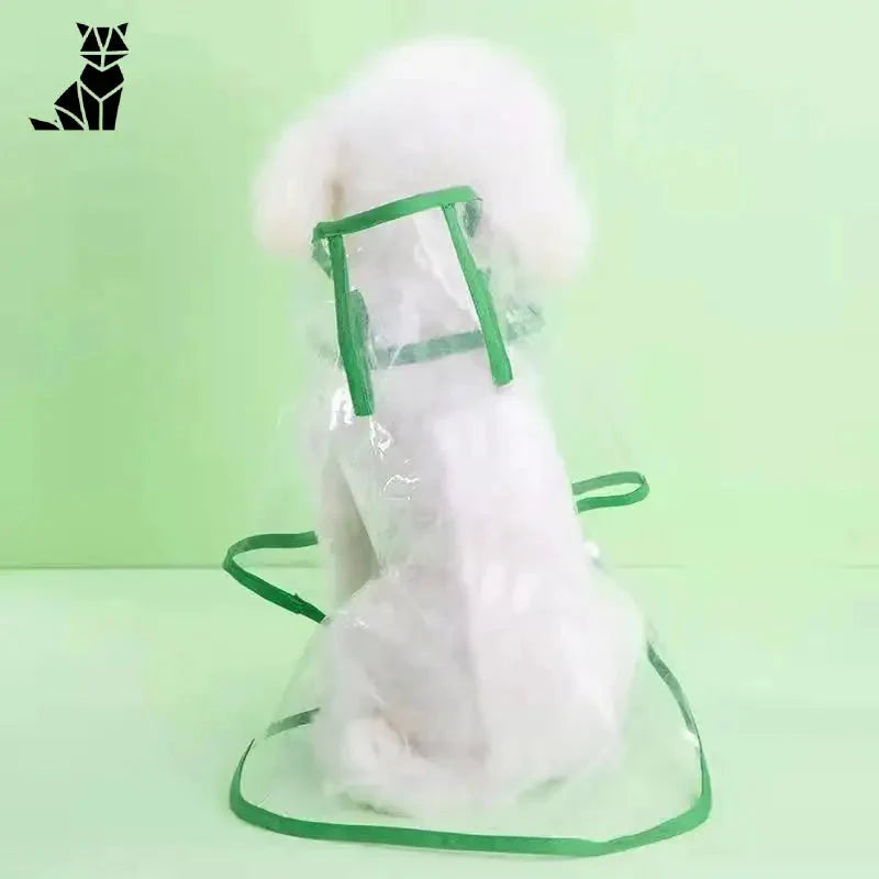 Chien blanc avec harnais vert modèle montre Manteau de pluie transparent pour chien - protection élégante et efficace
