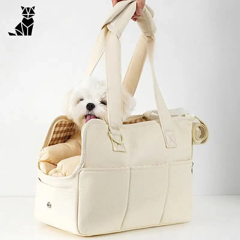 Sac de transport pour petits animaux : chien confortablement assis, parfait pour les animaux pesant jusqu’à 5kg